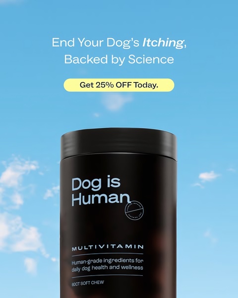 This ad creative uses a bold, clean product-centric composition with a sky-blue background to highlight a dog multivitamin, emphasizing a clear benefit and discount offer.